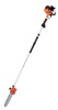 pole chain saw