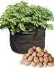 potato grow bag