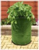 potato plant bag