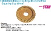 professional 100mm Resin Bonding Diamond Grinding Polishing Disc for Stone--STBP