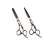 professional hair Scissors