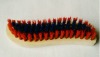 professional wood handle red and black nylon material floor brush