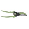 pruners and secateurs
