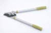 ratchet telescopic Alum bypass pruner