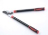 ratchet telescopic bypass pruner