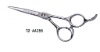 salon scissors
