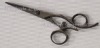 shears 009-55BK