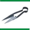 sheep shears