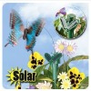 solar butterfly/solar toys/Solar fluttering Butterfly