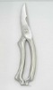 stainless steel chicken scissor