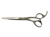 stainless steel cutting hair beauty scissor with better price