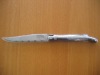 steak knife with stainless steel handle