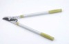telescopic Alum bypass pruner