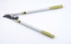 telescopic Alum bypass pruner