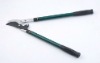 telescopic bypass pruner