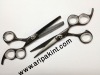 titanium color scissor