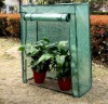 tomato greenhouse
