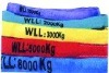 webbing sling/lifting sling/polyester sling