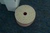 wet and dry flexible polishing pad