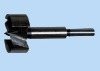 wood working forstner drill