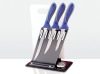 4pcs in 1 New design High performance Fillet knife set, Fishing knife, Kitchen knife, Fillet kit with stainless steel soap