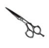 Hair scissors (PLF-55WA)