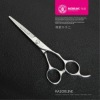 R10 Hair Scissor