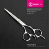 R3 Hair cutting scissor